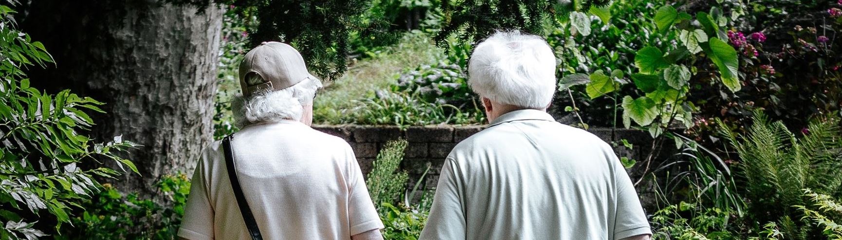 an older couple walking, their backs to the camera