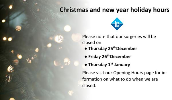 Chistmas and new year holiday hours poster